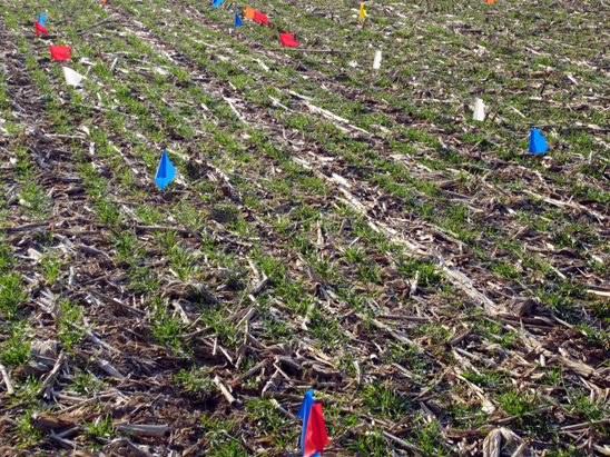 Filler image (blue UK wordmark on light blue background) used for news item with no image uploaded