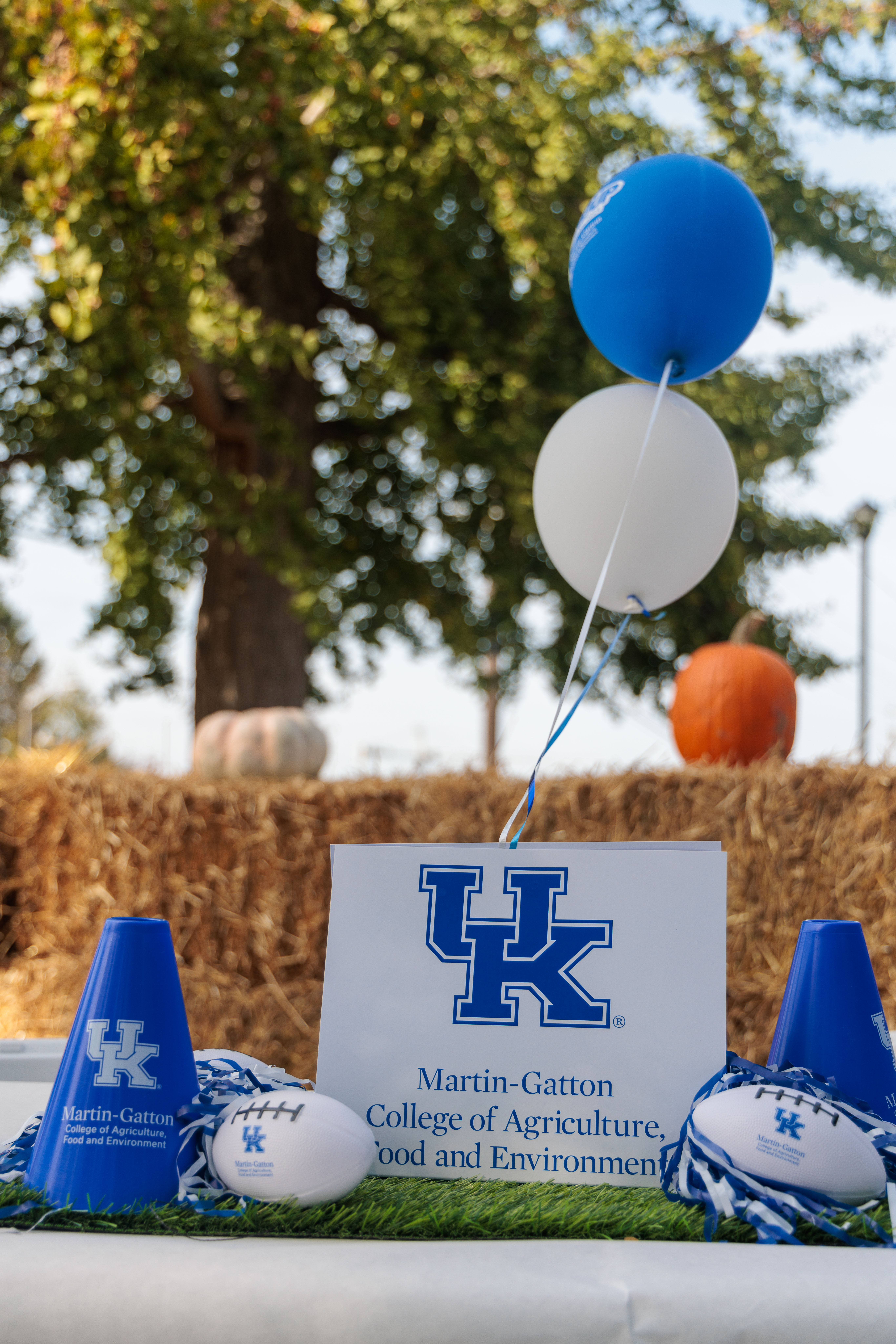 RoundUp signage with balloons. Photo by Matt Barton