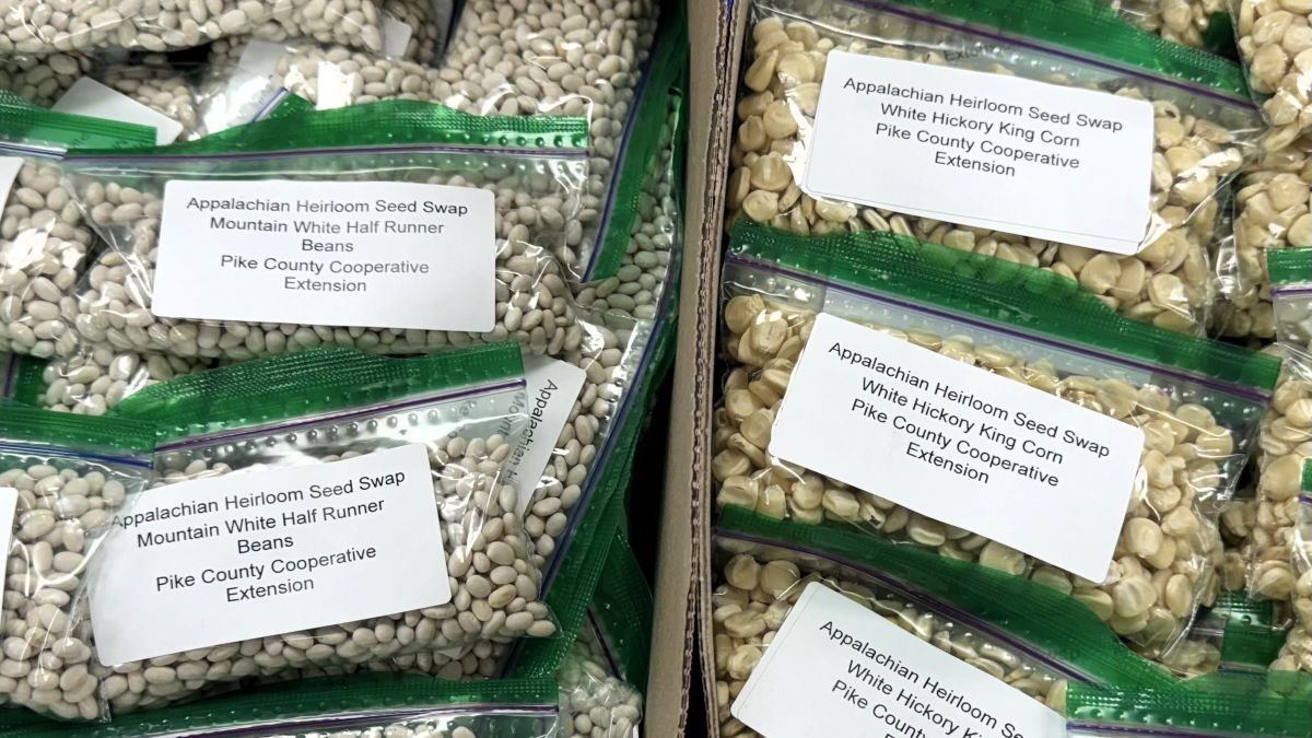 The Pike County Cooperative Extension Office provided some free seeds at this year's event. Photo provided by Emily Davis.