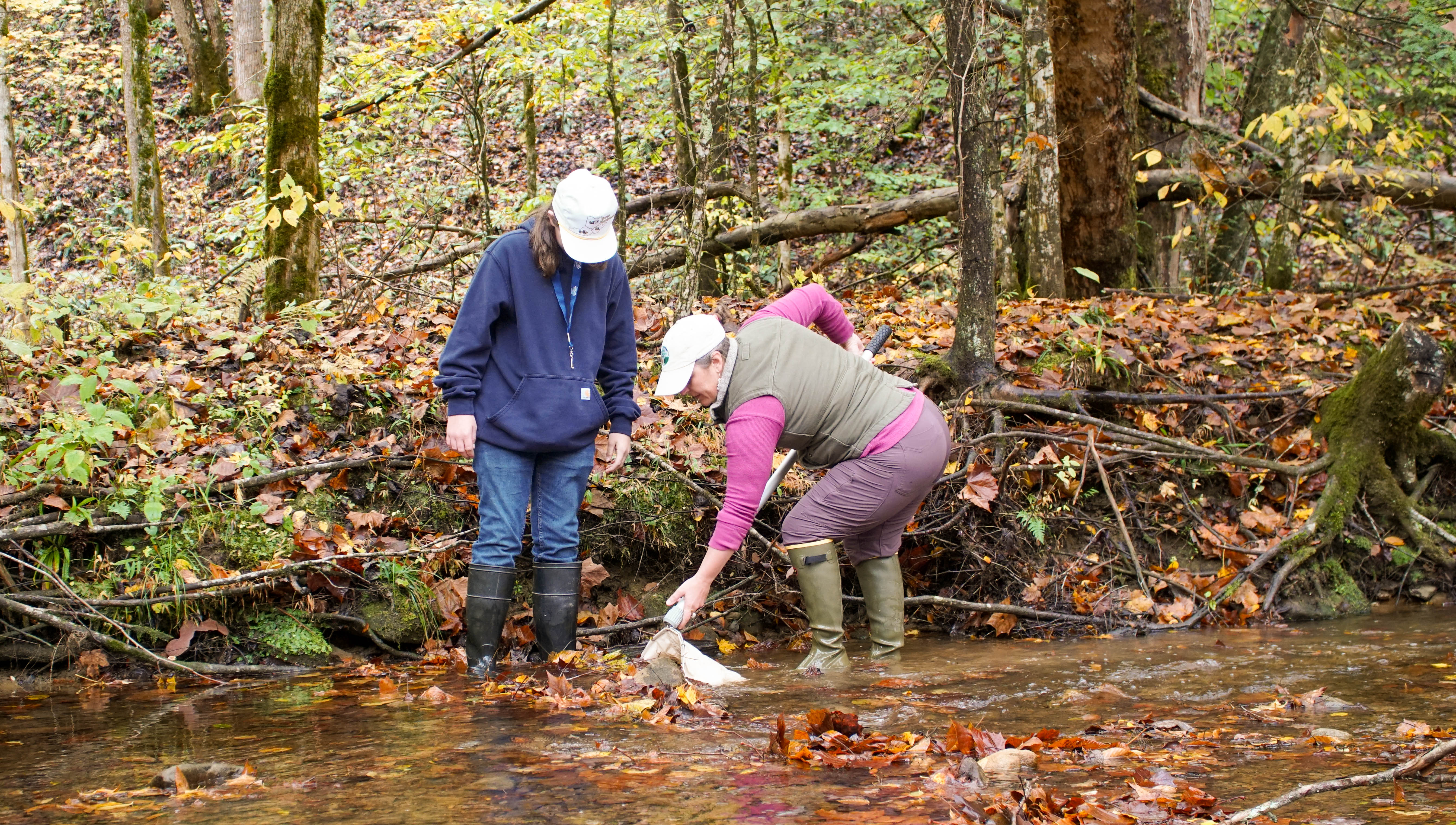 Robinson Forest Flash Field Day 2025 event in Clayhole, Kentucky. Photo by Zoey Ortega