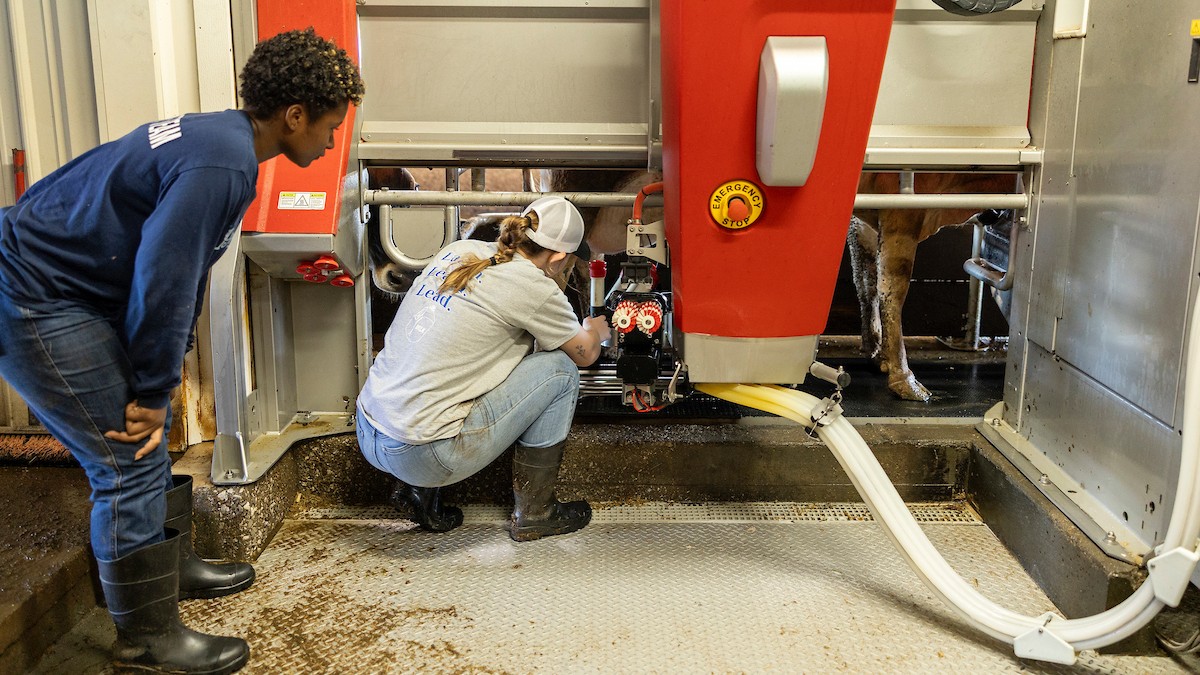 Lillyah Snipes (left) and Jillian Lujan (right) operating the milking technology called the Astronaut. Photo by Sabrina Hounshell.