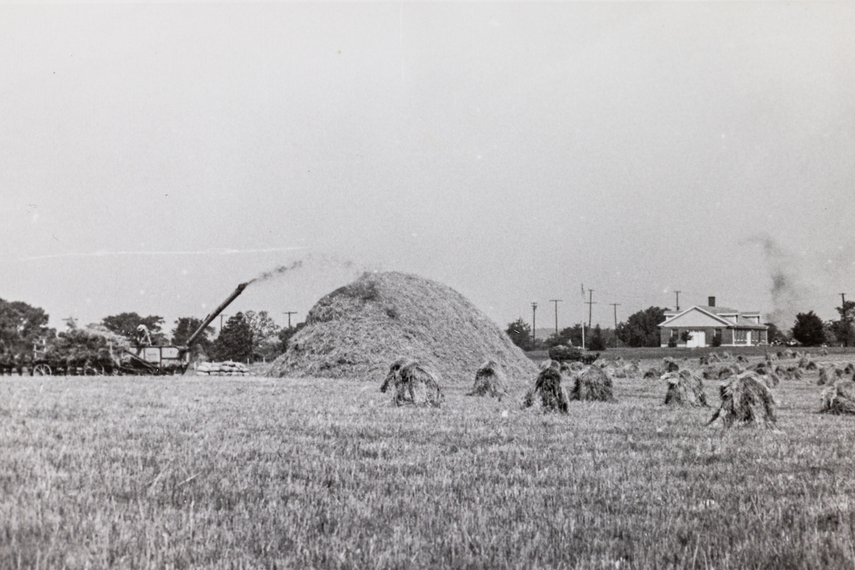 Wheat threshing machine, 1927, at UKREC Princeton, Kentucky