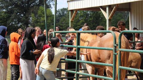 Students petting a horse at an agriculture literacy event in Daviess County, Kentucky.