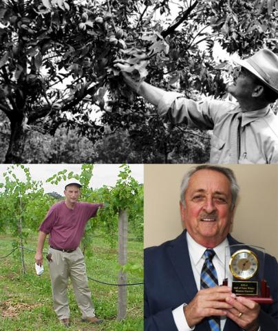 Horticulture specialists at UKREC - Armstrong, Moore, Dunwell