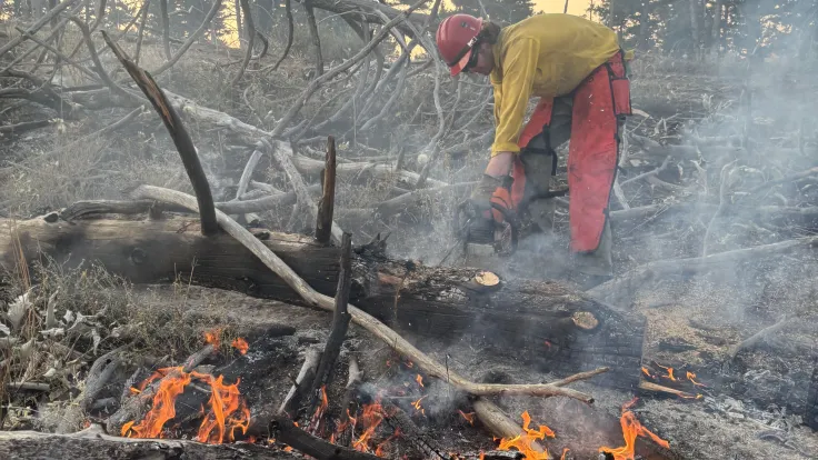 ‘We show up’: UK Fire Cats are ready to serve Kentucky when the call comes 