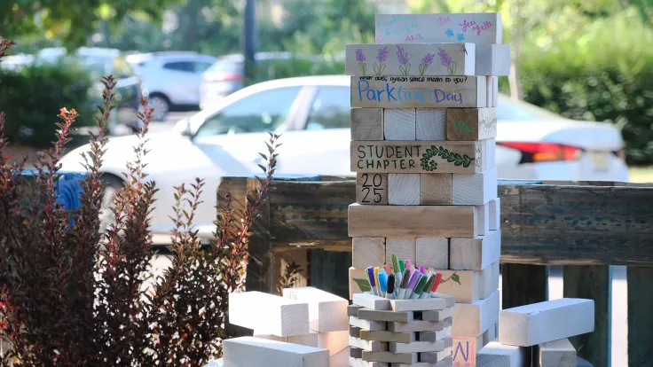 UK students transform parking spot into pop-up park