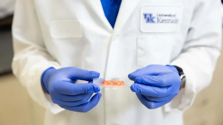 UK student helping build a better base for 3D-printed foods 