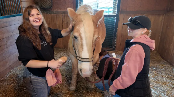 UK Ag Equine Programs volunteers give back to Lexington’s equine industry during annual service event 